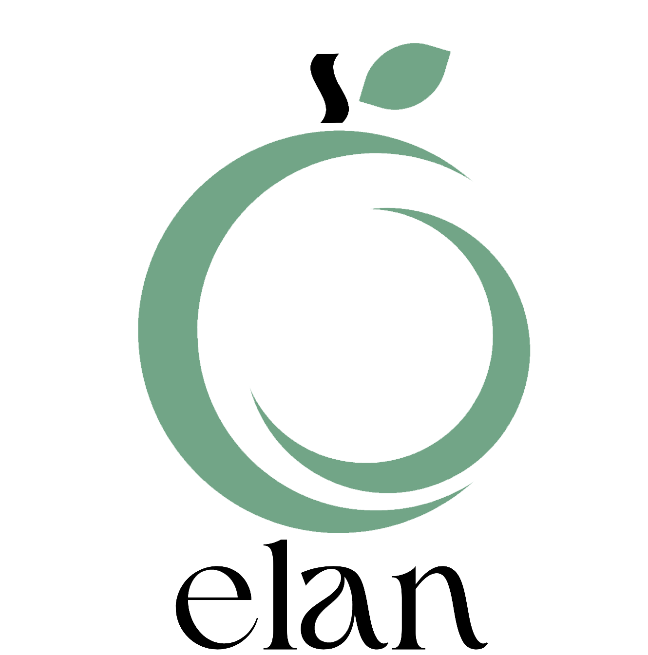 elan consulting
